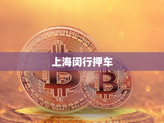 上海閔行押車