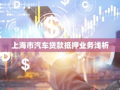 上海市汽車貸款抵押業(yè)務淺析