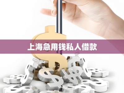 上海急用錢私人借款