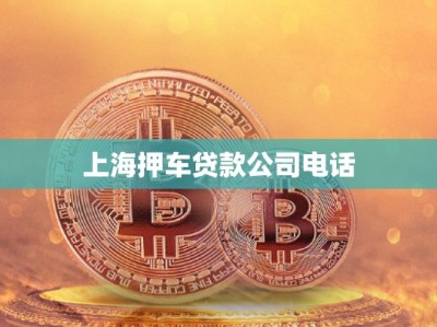 上海押車貸款公司電話