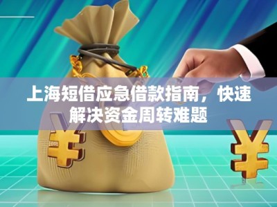 上海短借應(yīng)急借款指南，快速解決資金周轉(zhuǎn)難題